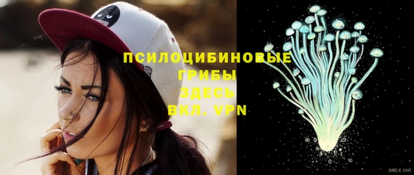 индика Арсеньев