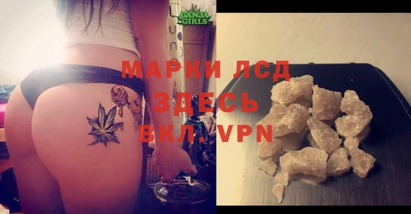 индика Арсеньев