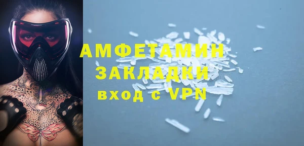 индика Арсеньев