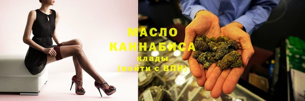 индика Арсеньев