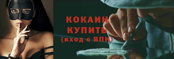 индика Арсеньев