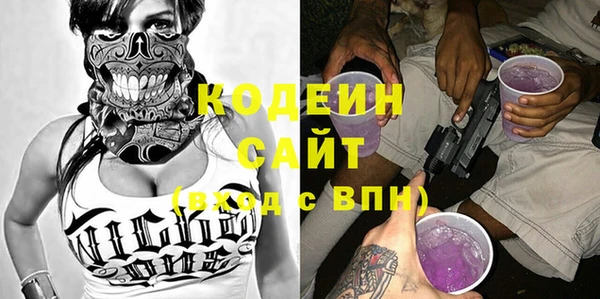 индика Арсеньев