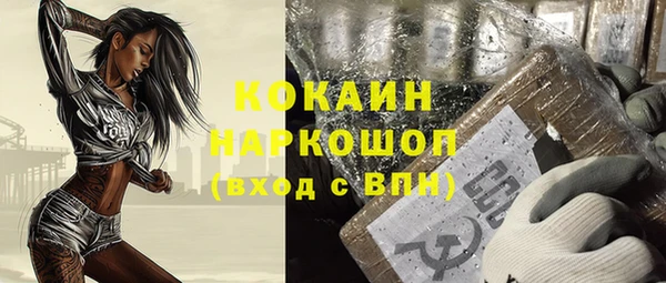 шишки Тихвин