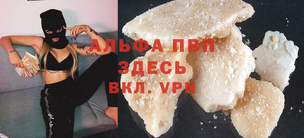 индика Арсеньев