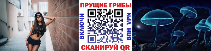 Галлюциногенные грибы ЛСД Южно-Сухокумск